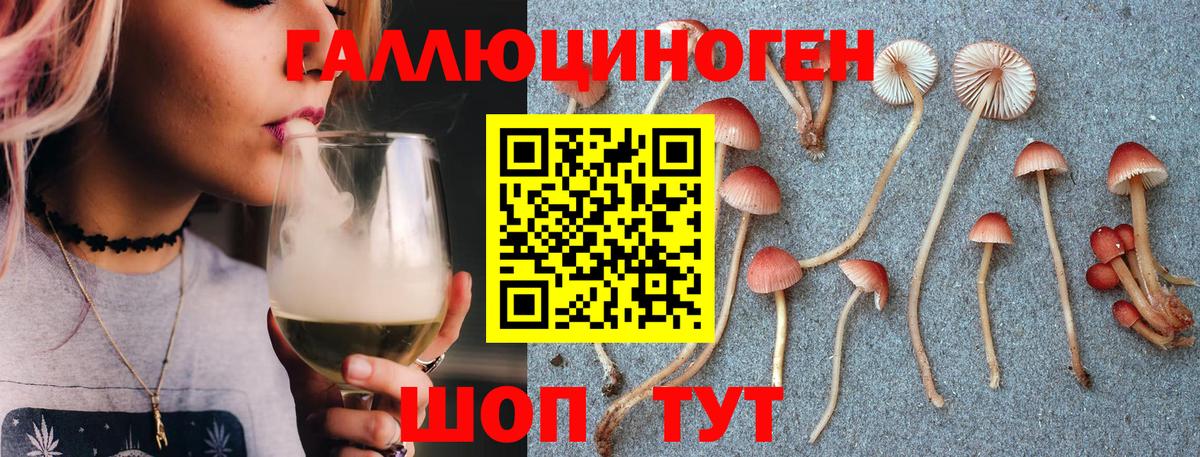 Галлюциногенные грибы прущие грибы  где найти   Галлюциногенные грибы Psilocybine cubensis  Славгород  Вход с VPN 